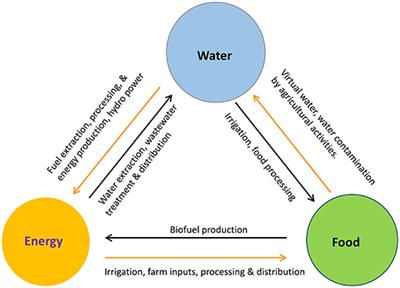 A Design for a Data and Information Service to Address the Knowledge Needs of the Water-Energy-Food (W-E-F) Nexus and Strategies to Facilitate Its Implementation